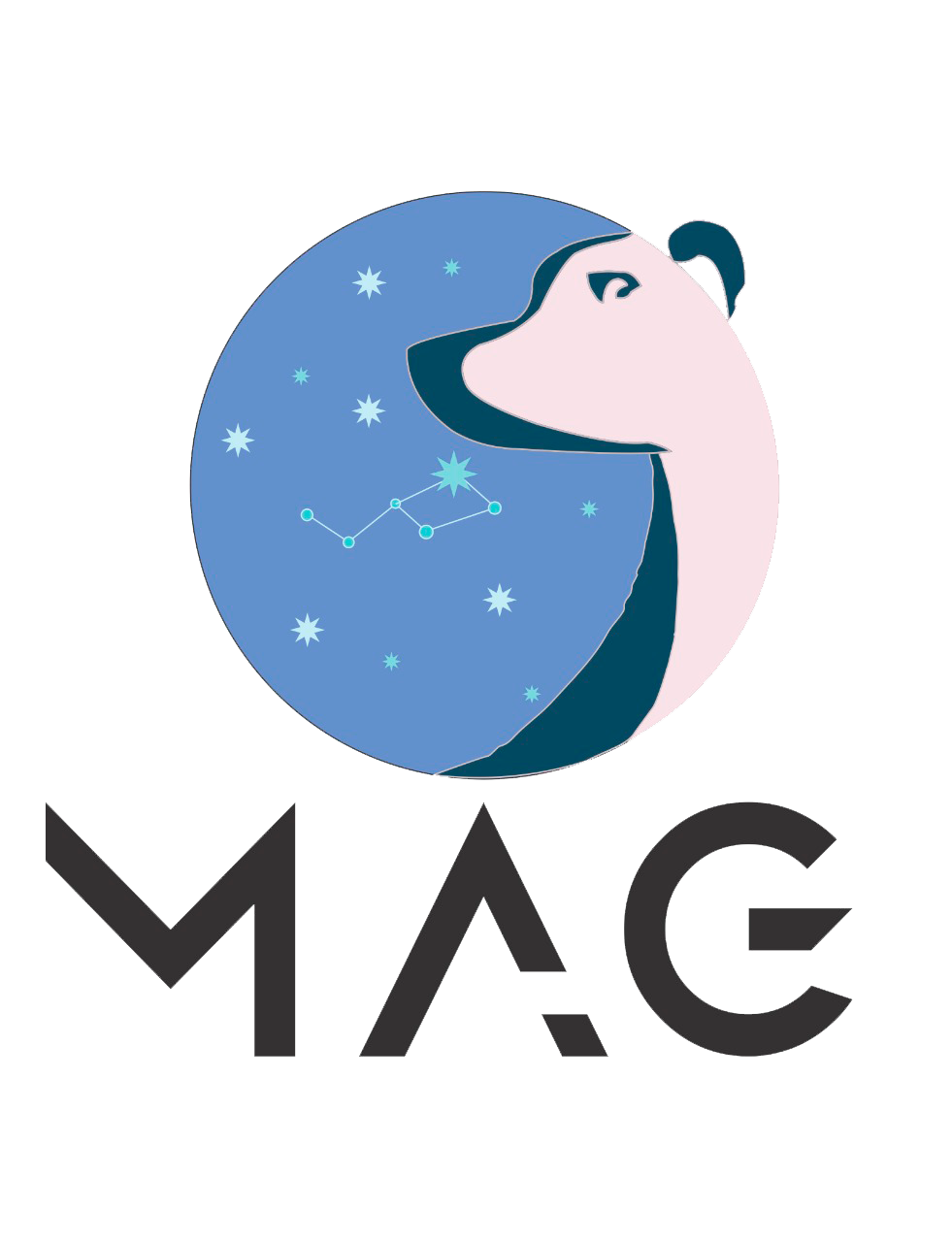 Social Network Tic Desarrollo mag